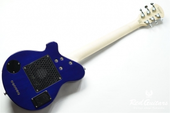 PGG-200FM SBL
